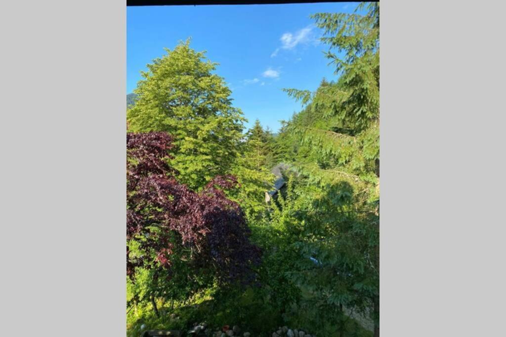 Ferienhaus Blommers Palfau Luaran gambar